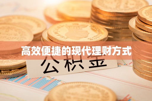 龙马潭高效便捷的现代理财方式