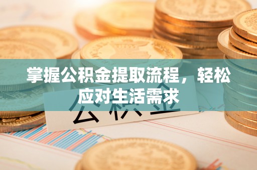 龙马潭掌握公积金提取流程，轻松应对生活需求