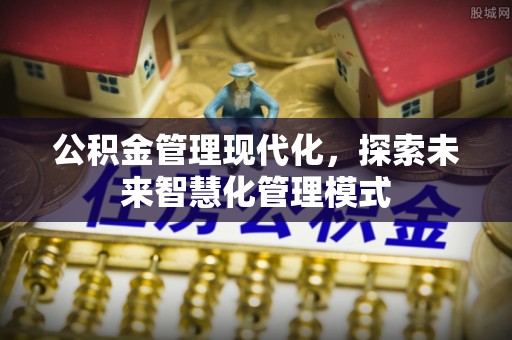 龙马潭公积金管理现代化，探索未来智慧化管理模式