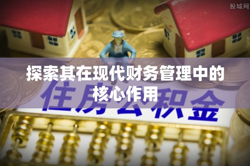 龙马潭探索其在现代财务管理中的核心作用
