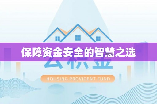 龙马潭保障资金安全的智慧之选