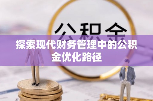 龙马潭探索现代财务管理中的公积金优化路径