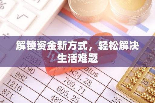 龙马潭解锁资金新方式，轻松解决生活难题