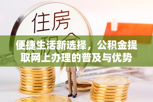 龙马潭便捷生活新选择，公积金提取网上办理的普及与优势