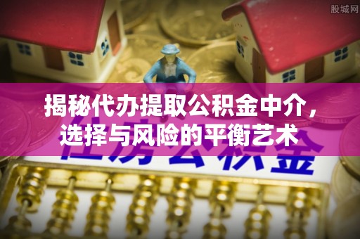 龙马潭揭秘代办提取公积金中介，选择与风险的平衡艺术