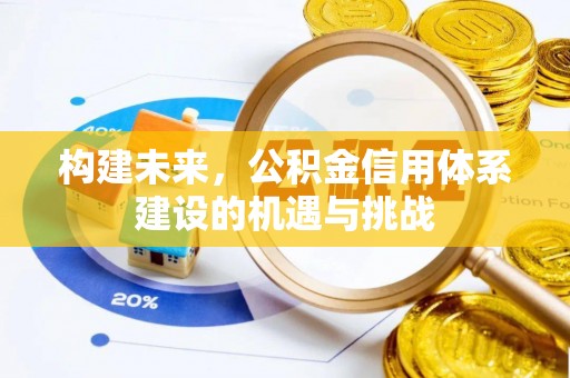 龙马潭构建未来，公积金信用体系建设的机遇与挑战