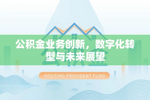 龙马潭公积金业务创新，数字化转型与未来展望