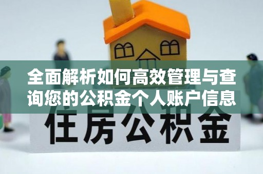 龙马潭全面解析如何高效管理与查询您的公积金个人账户信息