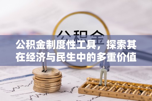 龙马潭公积金制度性工具，探索其在经济与民生中的多重价值