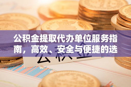 龙马潭公积金提取代办单位服务指南，高效、安全与便捷的选择