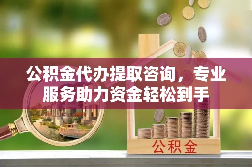 龙马潭公积金代办提取咨询，专业服务助力资金轻松到手