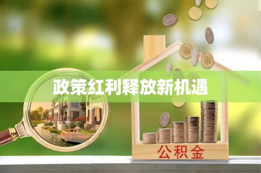 龙马潭政策红利释放新机遇