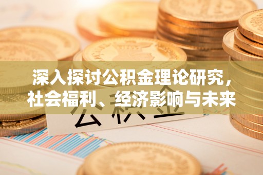 龙马潭深入探讨公积金理论研究，社会福利、经济影响与未来展望