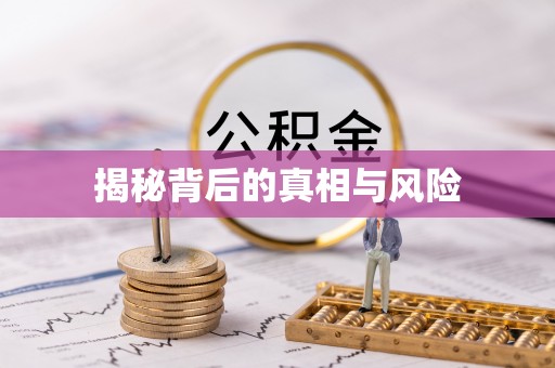 龙马潭揭秘背后的真相与风险