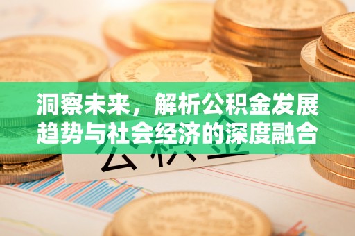 龙马潭洞察未来，解析公积金发展趋势与社会经济的深度融合
