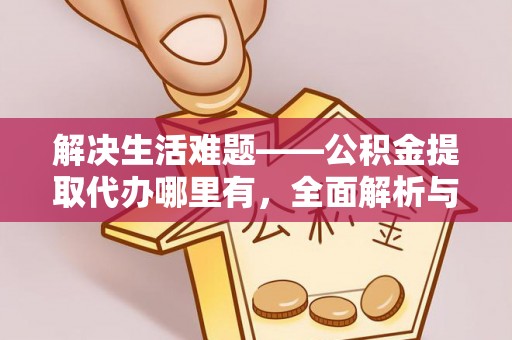 龙马潭解决生活难题——公积金提取代办哪里有，全面解析与服务推荐