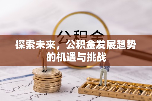 龙马潭探索未来，公积金发展趋势的机遇与挑战