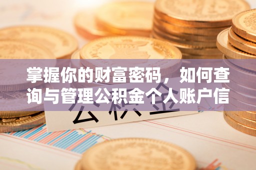 龙马潭掌握你的财富密码，如何查询与管理公积金个人账户信息