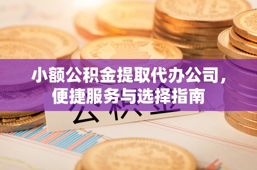 龙马潭小额公积金提取代办公司，便捷服务与选择指南