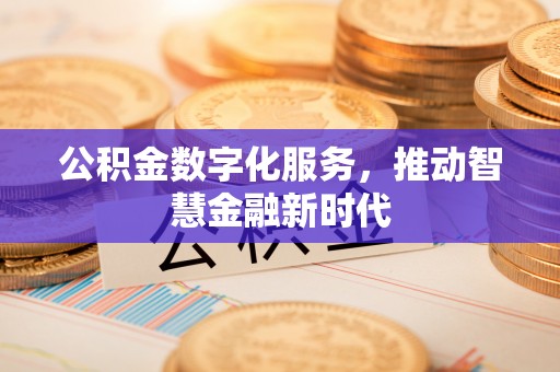 龙马潭公积金数字化服务，推动智慧金融新时代