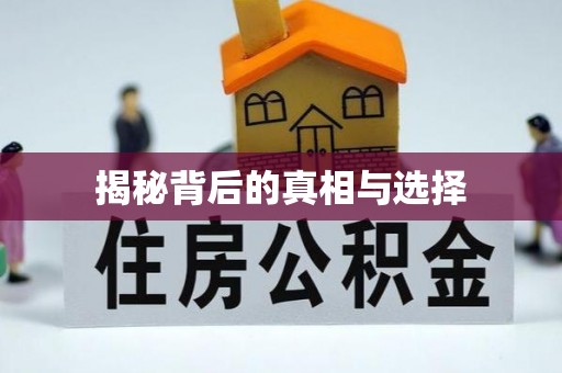 龙马潭揭秘背后的真相与选择