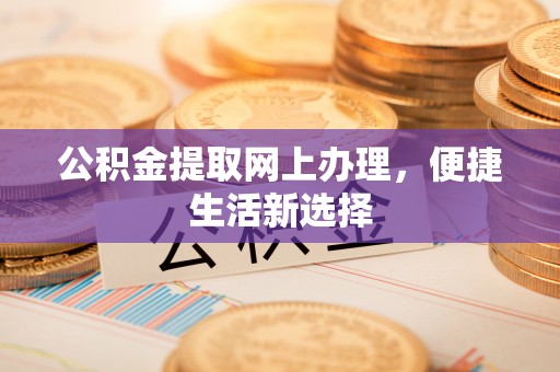 龙马潭公积金提取网上办理，便捷生活新选择