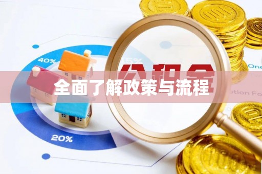 龙马潭全面了解政策与流程