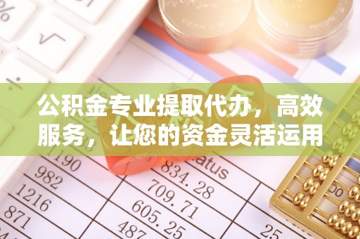 龙马潭公积金专业提取代办，高效服务，让您的资金灵活运用