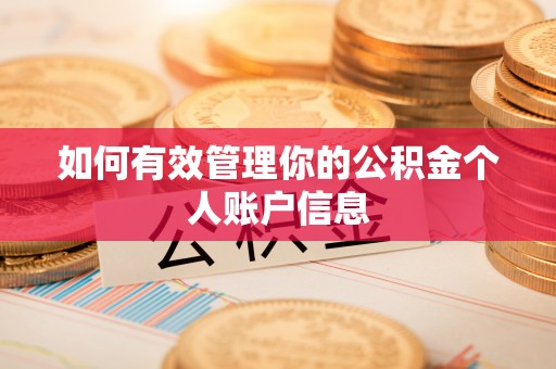 龙马潭如何有效管理你的公积金个人账户信息