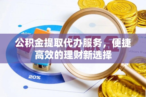 龙马潭公积金提取代办服务，便捷高效的理财新选择