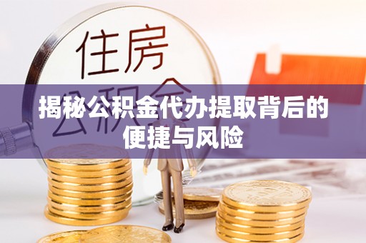 龙马潭揭秘公积金代办提取背后的便捷与风险