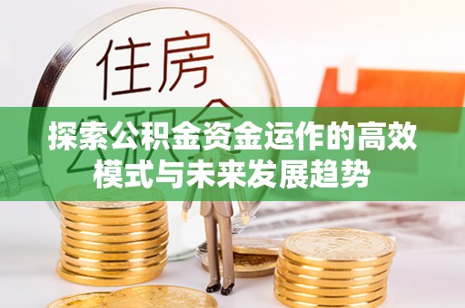 龙马潭探索公积金资金运作的高效模式与未来发展趋势