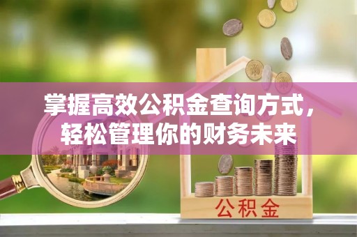 龙马潭掌握高效公积金查询方式，轻松管理你的财务未来