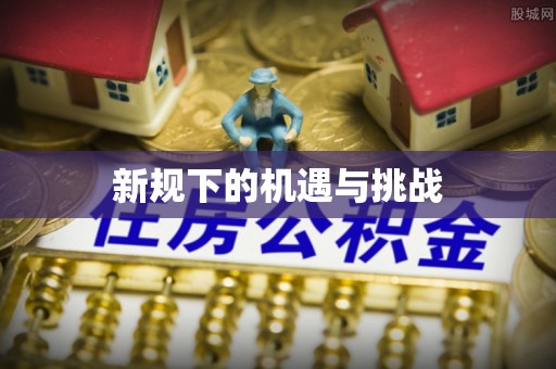 龙马潭新规下的机遇与挑战