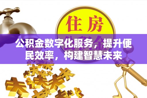 龙马潭公积金数字化服务，提升便民效率，构建智慧未来