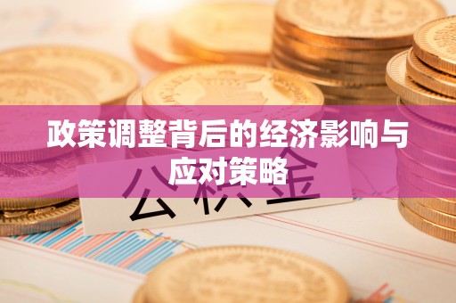 龙马潭政策调整背后的经济影响与应对策略