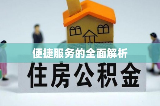 龙马潭便捷服务的全面解析