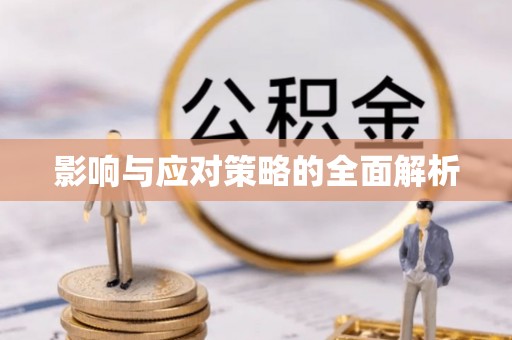 龙马潭影响与应对策略的全面解析
