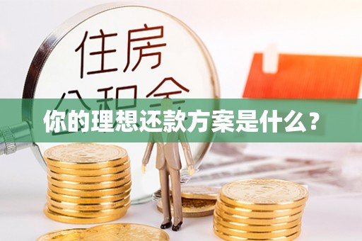 龙马潭你的理想还款方案是什么？