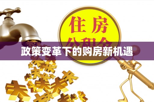 龙马潭政策变革下的购房新机遇