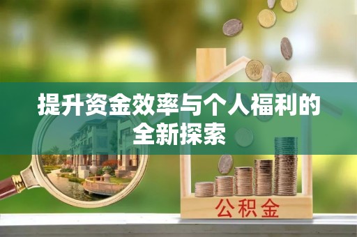 龙马潭提升资金效率与个人福利的全新探索