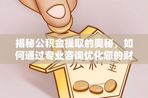 龙马潭揭秘公积金提取的奥秘，如何通过专业咨询优化您的财务规划