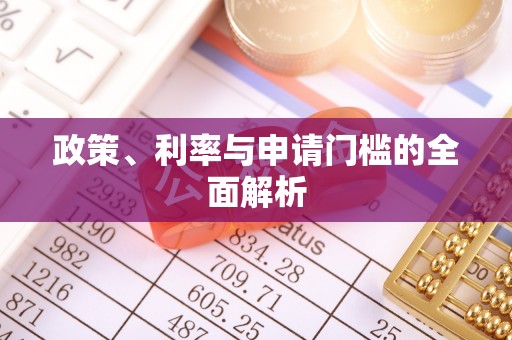 龙马潭政策、利率与申请门槛的全面解析