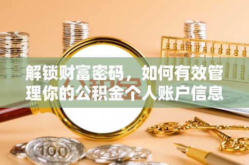 龙马潭解锁财富密码，如何有效管理你的公积金个人账户信息