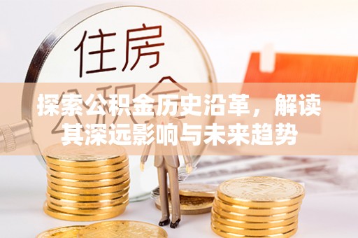龙马潭探索公积金历史沿革，解读其深远影响与未来趋势