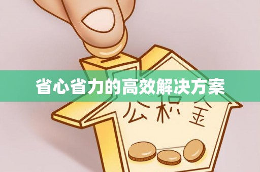 龙马潭省心省力的高效解决方案