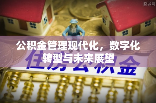 龙马潭公积金管理现代化，数字化转型与未来展望