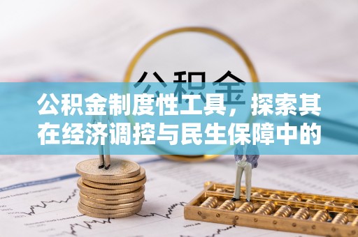龙马潭公积金制度性工具，探索其在经济调控与民生保障中的重要作用