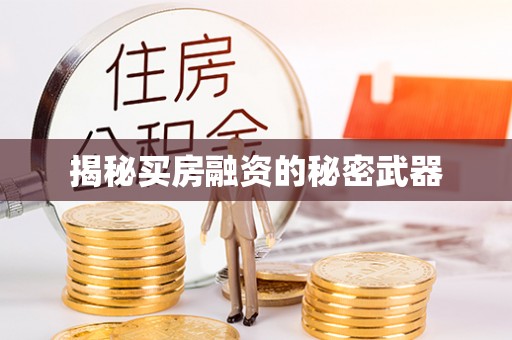 龙马潭揭秘买房融资的秘密武器