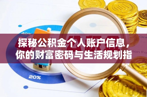 龙马潭探秘公积金个人账户信息，你的财富密码与生活规划指南